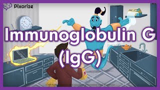 Immunoglobulin G IgG USMLE Mnemonic [upl. by Ennayram]