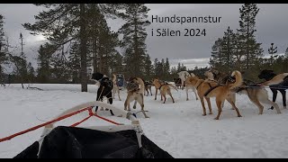 Hundspannstur i Sälen 2024 [upl. by Melisenda]