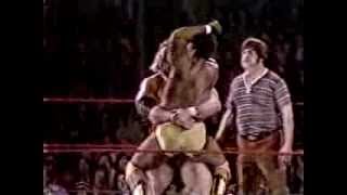 Dizzy Hogan Brutus Beefcake v King Parsons [upl. by Abby855]