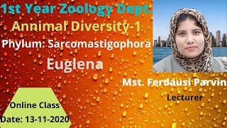 Online class Zoology 1st year Hons Animal Diversity 1 Phylum Sarcomastigophora Euglena [upl. by Kit]