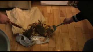 How to cook live crabs Or how not to [upl. by Schrader]