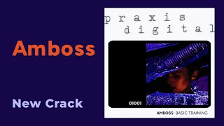 Amboss New Crack from Basic Training praxis01001 2024 [upl. by Blus539]