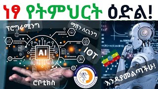 ነፃ የ AI ስልጠና ለ ኢትዮጵያውያን summer camp 2024  Artificial intelligence AI training Free Tech Training [upl. by Kalle134]