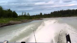 Talkeetna River Jet Boat [upl. by Dayna]