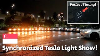 TESLA Synchronised Light Show PERFECT TIMING with 15 Teslas [upl. by Beata666]