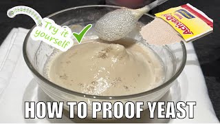 HOW TO PROOF YEAST [upl. by Aekim988]