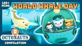 Octonauts  🤿 Riding with Whales 🐋  2 Hours Compilation  Underwater Sea Education for Kids [upl. by Rolanda]