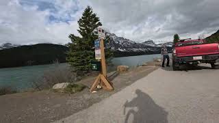 10x Epic cycling ride from Lake Louise to Saskatchewan crossing and back Icefields Parkway  93N [upl. by Nalehp158]