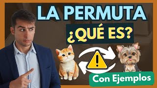 🔵 Descubre qué es el CONTRATO de PERMUTA en solo 8 minutos 【Con EJEMPLOS】 [upl. by Aititil771]