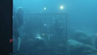 47 Meters Down Uncaged 2019 Directed by Johannes Roberts SPOILERS [upl. by Asquith526]