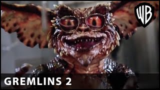 Gremlins Drink the Brain Hormone  Gremlins 2 The New Batch  Warner Bros UK [upl. by Areik452]