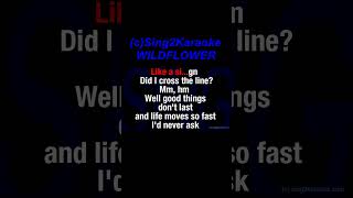 Billie Eilish WILDFLOWER Karaoke Version Lyrics [upl. by Aeht]