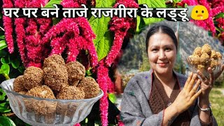 Amaranth Season Rajgira Homemade Laddu Recipe Kinnaur HP [upl. by Nnayllehs740]