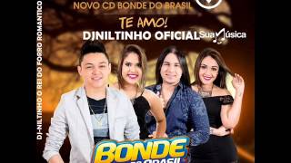 BONDE DO BRASIL 2016 FIM DO NOSSO AMOR MAIO DE 2016 [upl. by Icyak]