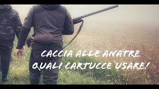 Caccia alle Anatre  Quali Cartucce Usare In Calibro 12 [upl. by Anertac59]