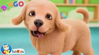 BINGO  Nursery Rhymes amp Kids Songs  IshKids  Version 2 [upl. by Selfridge]