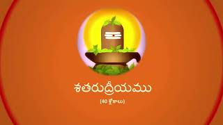 శతరుద్రీయము  Sata Rudreeyam [upl. by Inalej]