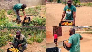 How To Access Market as a small farmer in South Africa 🇿🇦 [upl. by Dee Dee702]