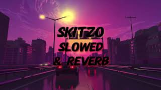 SKITZO Slowed amp Reverb to perfection [upl. by Julius]