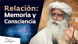 Memoria consciencia y coma Charla Completa Sadhguru en la Escuela de Medicina de Harvard [upl. by Bradstreet873]