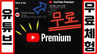 유튜브 프리미엄 VPN 우회 평생 무료체험 [upl. by Demha95]