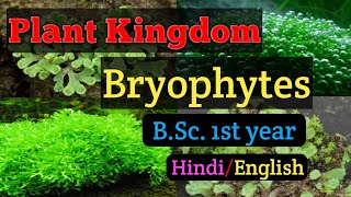 Bsc first year Botany Paper second General Characters of Bryophytes MGKVP Bsc 1st year Botany [upl. by Latini]