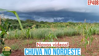 CHUVA NO NORDESTE Nova atualização pessoal Ep408 [upl. by Fia]