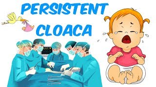 Persistent Cloaca [upl. by Ylecara891]