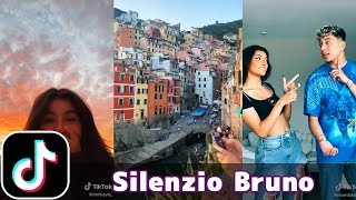 Silenzio Bruno  Luca  TikTok Compilation [upl. by Ilac]