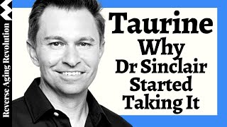 WHY Dr David Sinclair Added TAURINE To His Regimen amp His Dosage [upl. by Millda959]