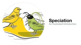 Speciation An Illustrated Introduction [upl. by Atsilac33]