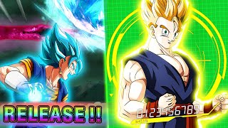 asdfghjkl INSANE STR LR SSJ GOHAN SUMMONS WWC Part 2 DBZ Dokkan Battle [upl. by Haines]