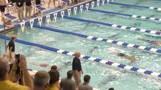 2018 Mens NCAA Championship Prelims 200 IM Heat 6 [upl. by Modeerf]