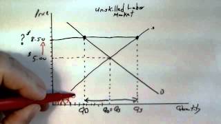 Supply and Demand and the Minimum Wage [upl. by Chouest]