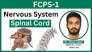 FCPS1  Nervous System Spinal Cord Anatomy of Spinal Tracks Blood Supply Brown Sequard Syndrome [upl. by Cornela536]