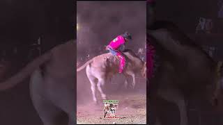 Andariego de Calihuala vs Reverzaso de Rancho La Perla jaripeo [upl. by Hayimas]