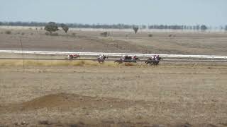 Longreach 28092024 Race 3 [upl. by Neehsar]