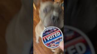 Frank Says “Go Vote” 🗳️ Today is Election Day WA SlowDownMoveOver Vote ElectionDay Election [upl. by Nylrem]