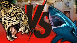 LEOPARDO VS TIBURÓN ¿Quién ganará [upl. by Lehpar945]