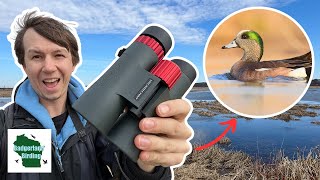 Crystal Clear Birding Oberwerk 8x42 Sport ED Binocular Review [upl. by Colly]