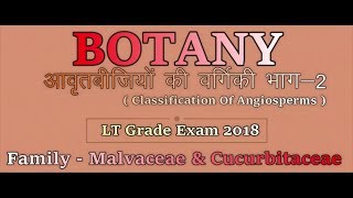 Biology  Botany  Classification Of Angiosperms Part2 Family  Malvaceae amp Cucurbitaceae [upl. by Brina]