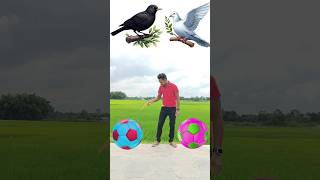 Spining Foot ball 🏀 to crow pigeon parrot amp peacock  Birds names Vfx magic video [upl. by Zales]