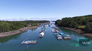 Head Harbour Campobello Island NB [upl. by Ainav554]