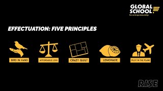 GS4E Knowledge clip Effectuation principles [upl. by Ellenoj478]