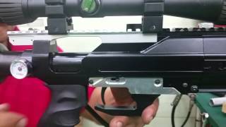 EVANIX 2016 NEW AIR RIFLE2 [upl. by Araiet]