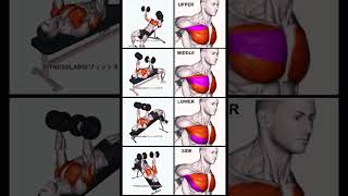 Chest Workout using Dumbbell [upl. by Kulda]