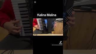 Kalina Malina akordeon Roland fr1x akordeon accordion biesiada music naludowo cover [upl. by Tamberg]