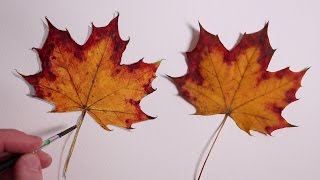 How to Draw a Autumn Leaf Realism Challenge 1 [upl. by Norel]