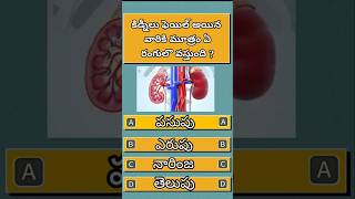 Gk Questions And Answers Telugu  Telugu Gk Quiz  Interesting Facts  Riddles Telugu  Life Hacks [upl. by Daniela]