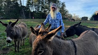 North Carolina Man Has Lived on the Same Farm for 83 Years Waynnie Takes Us On a Tour on His Farm [upl. by Llerref]